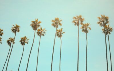 Unlocking Your Future: A Comprehensive Guide to Post-Conviction Relief in California