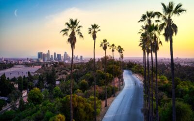 Your Essential Guide to Understanding Criminal Defense Rights in Los Angeles
